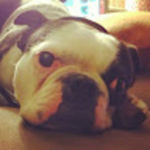 Meet your Posher, Victoria